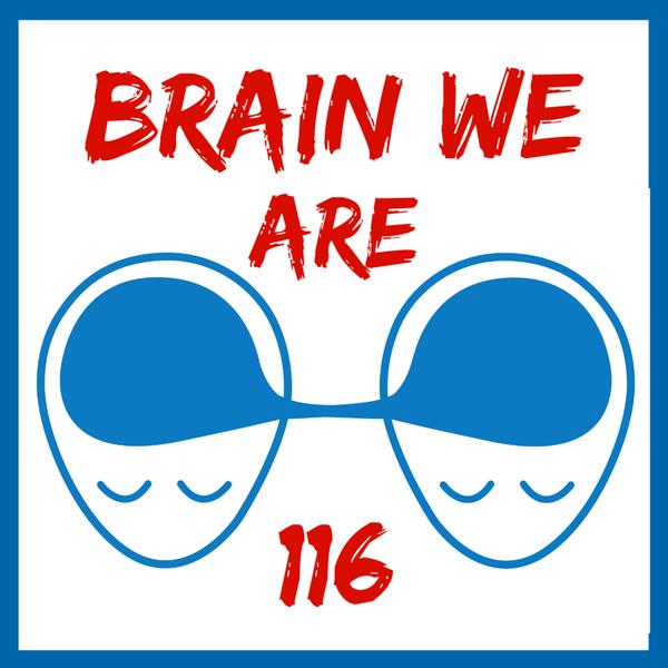 Brain We Are CZ
